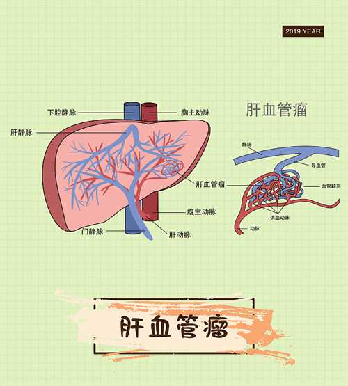 孕期可以食用四季豆吗?孕期饮食新指南