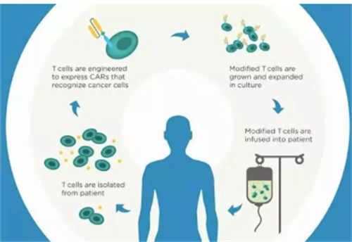 天津三代试管婴儿成功率多少-试管助孕生子助孕机构