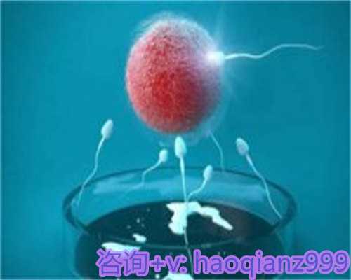 青岛合法的供卵试管，青岛借卵做试管供卵成功率