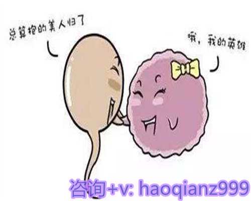 青岛医院供卵吗，青岛高龄供卵试管助孕机构公司的服务项目