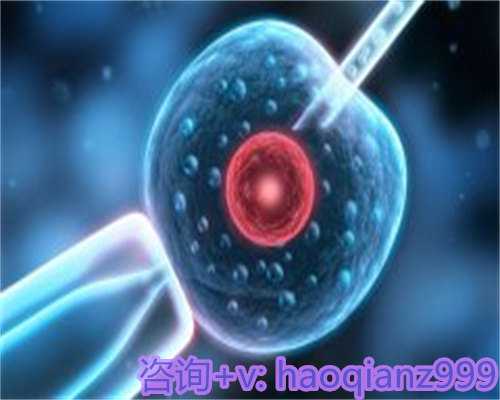 青岛助孕公司供卵，青岛供卵试管生儿子中介的工作流程