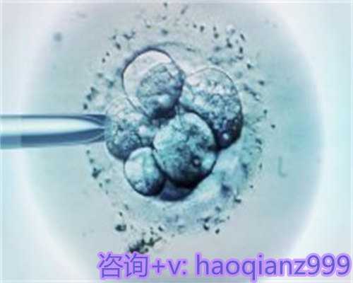 青岛供卵代生孩子包男孩， 青岛代生的联系方式