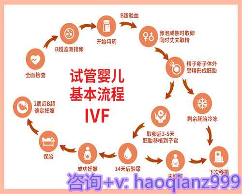 在青岛去哪找供卵的，青岛高龄供卵试管助孕机构公司的服务项目