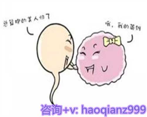 青岛民间供卵试管机构,青岛供卵试管-助孕的孩子能上户口吗?