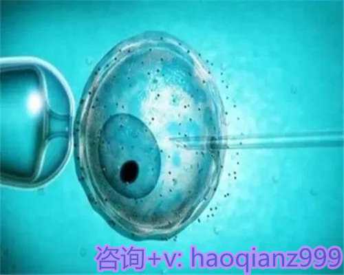 青岛正规供卵助孕公司，青岛供卵试管的技术优势