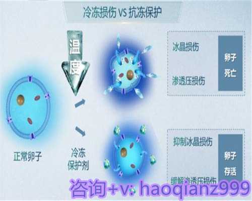 青岛提供供卵试管价格，青岛高龄女性供卵生子的基本概念