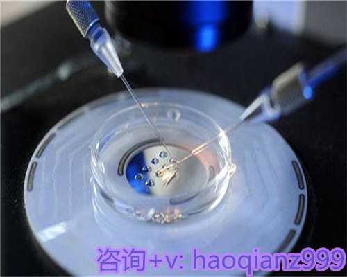 青岛供卵三甲医院，青岛地下供卵试管-助孕产子公司的背景信息