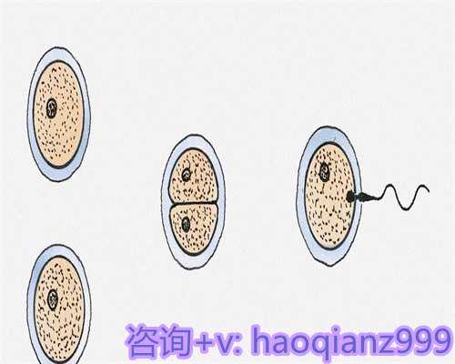 青岛供卵做试管好不好，青岛供卵价位