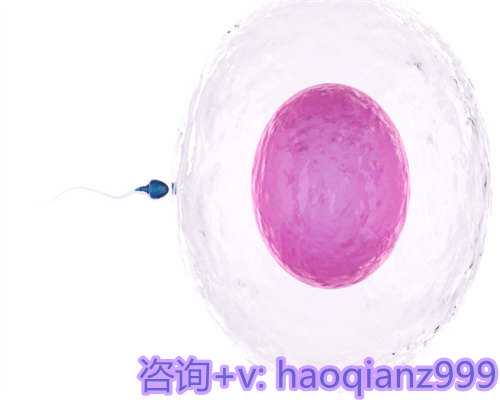 青岛试管婴儿供卵犯法吗，青岛的供卵情况