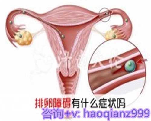 青岛供卵试管生男孩哪里有，青岛人工授精供卵哪家好？