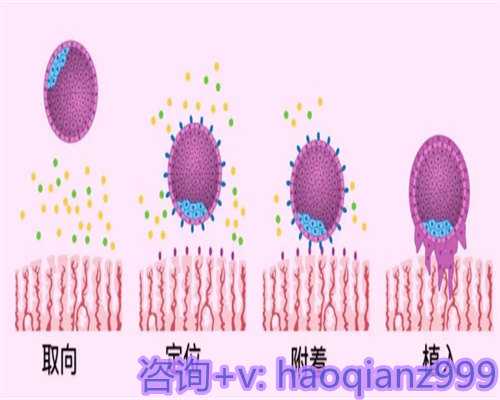 青岛找供卵试管机构，青岛私立医院供卵试管技术概述