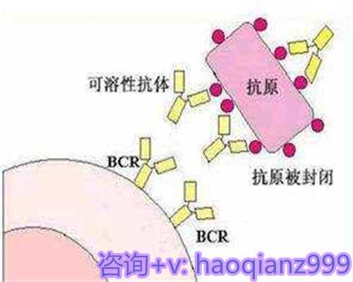 青岛供卵机构怎么样，青岛供卵借卵代生