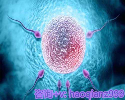 青岛试管供卵哪里好，青岛供卵成功率有多高？