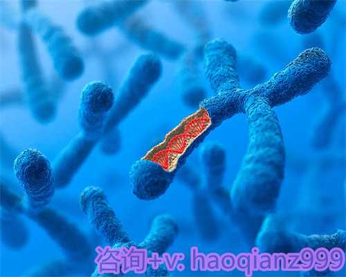 青岛供卵试管好做吗,青岛供卵试管中心价格怎么样?