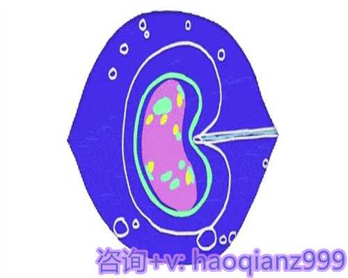 青岛供卵助孕机构生儿子，什么是青岛高龄供卵试管产子-助孕产子？