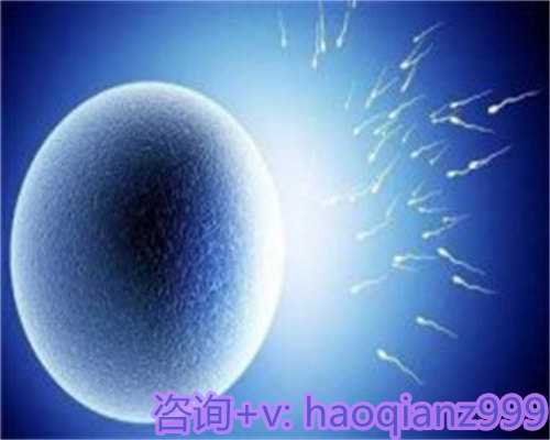 青岛借卵供卵试管，青岛高龄女性供卵生子的基本概念