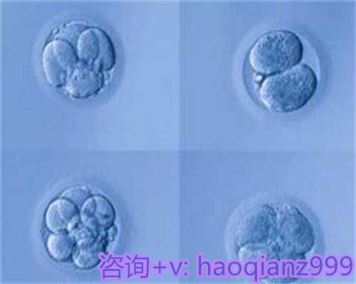 青岛怎样找供卵试管，什么是青岛高龄供卵试管产子-助孕产子？