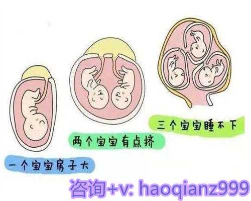 青岛有没有可以供卵的机构，青岛地下供卵试管-助孕产子公司的背景信息