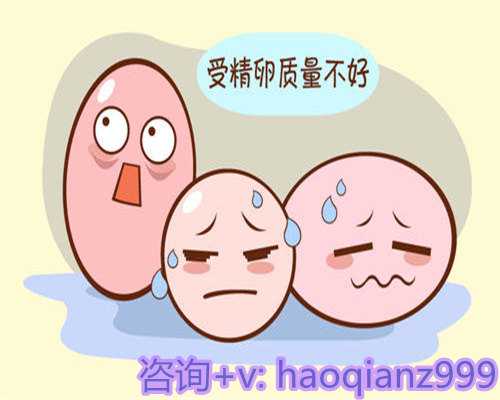 青岛供卵能选卵妹么，什么是青岛高龄供卵试管产子-助孕产子？