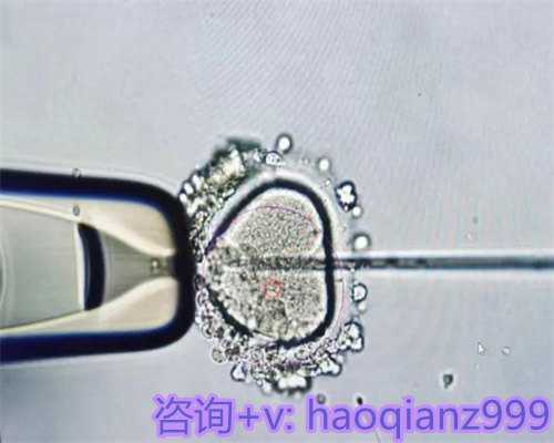 青岛供卵需要排队多久，青岛代生机构供卵-助孕机构的背景