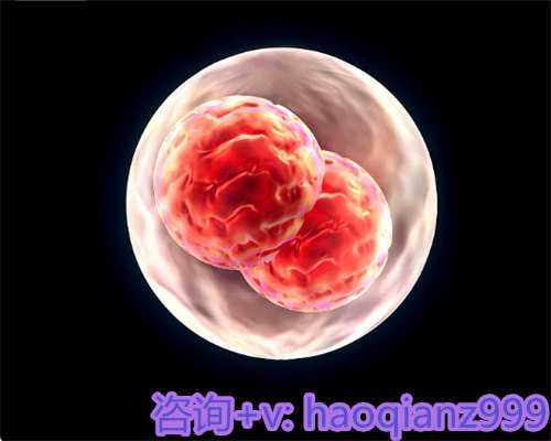 青岛试管供卵技术， 青岛供卵套餐哪家好？