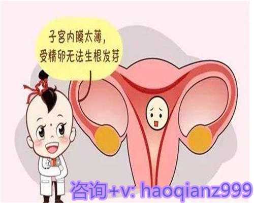 青岛供卵试管去哪里最好，青岛高龄供卵试管助孕机构公司的服务项目