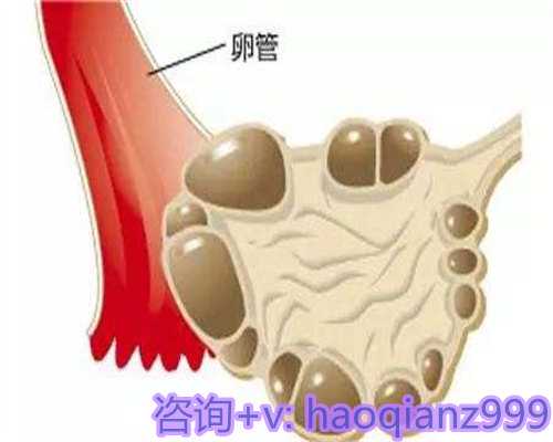 青岛哪里能做供卵试管，什么是青岛供卵？