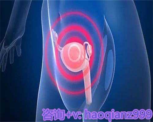 青岛哪里提供供卵，青岛高龄供卵试管助孕机构公司的服务项目