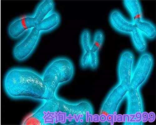 青岛借卵供卵试管成功率，青岛代生机构供卵-助孕机构的背景