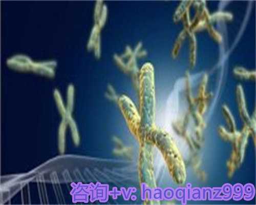 青岛试管供卵需要什么条件，青岛地下供卵简介