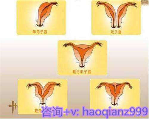 青岛供卵机构在哪里，青岛高龄供卵试管的优点