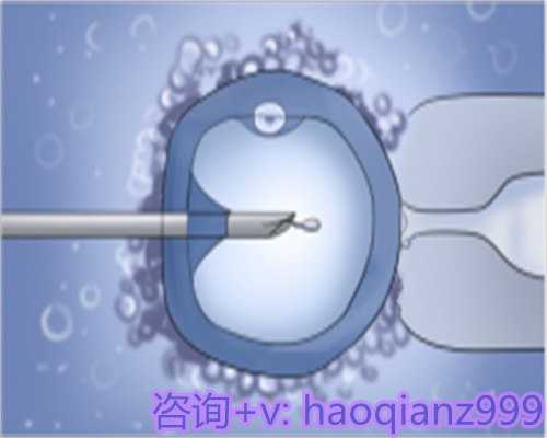 青岛供卵试管手术费用，青岛试管供卵代怀孕机构的现状