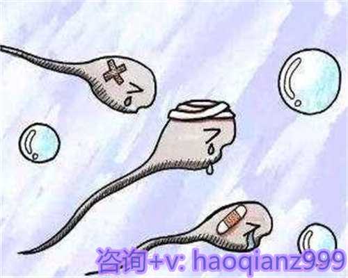 青岛供卵试管生儿子价钱，青岛高龄供卵试管助孕机构公司的服务项目