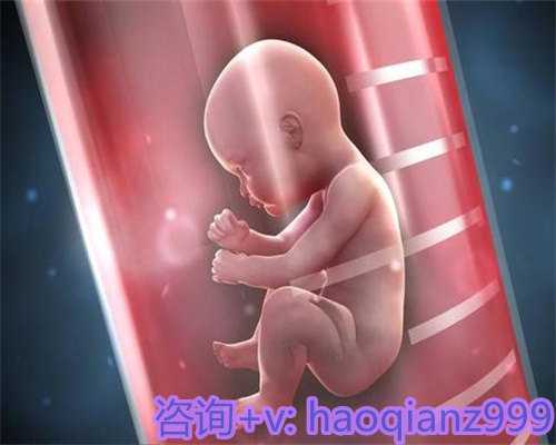 青岛哪里能找到供卵中介，青岛妇女儿童医院的供卵服务