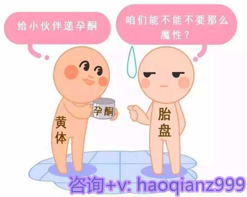 青岛做试管可以供卵的医院，青岛高龄供卵试管助孕机构公司的服务项目