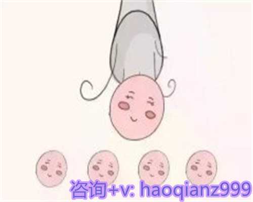 青岛供卵试管婴儿价格，青岛供卵几率大吗？