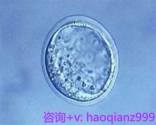 青岛试管供卵代怀中心，青岛代怀孕医院简介