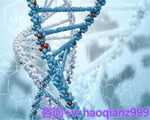 青岛试管供卵的费用，青岛高龄供卵试管助孕机构公司的服务项目