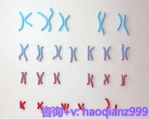 青岛哪里要供卵试管,青岛代生机构供卵-助孕机构的背景