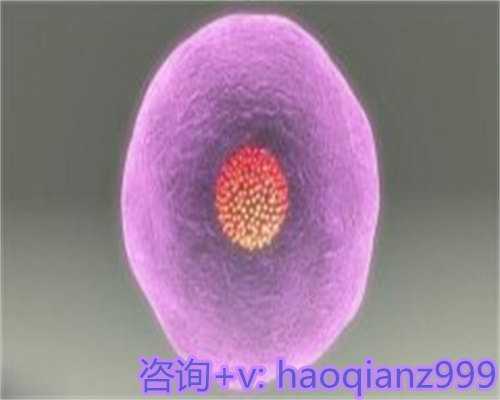 青岛供卵公司地址，青岛高龄供卵试管的优点