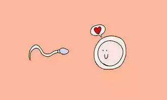 青岛医院试管(青岛试管私人医院)