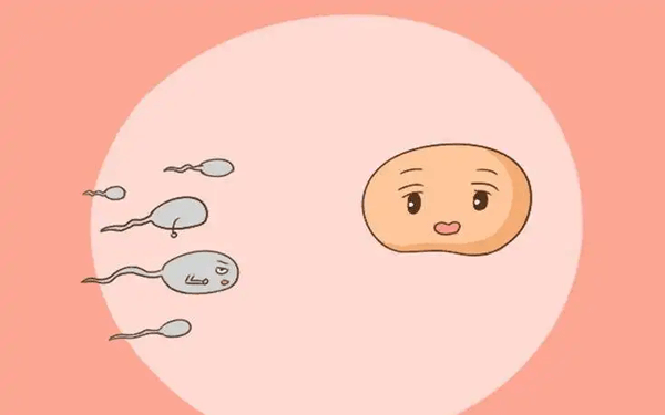 青岛做试管多少钱(青岛妇幼做试管多少钱)