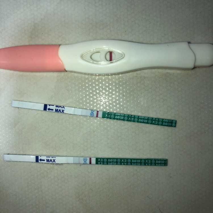 青岛有偿捐卵贴吧，青岛生育险缴纳时间？[青岛生育保险政策]