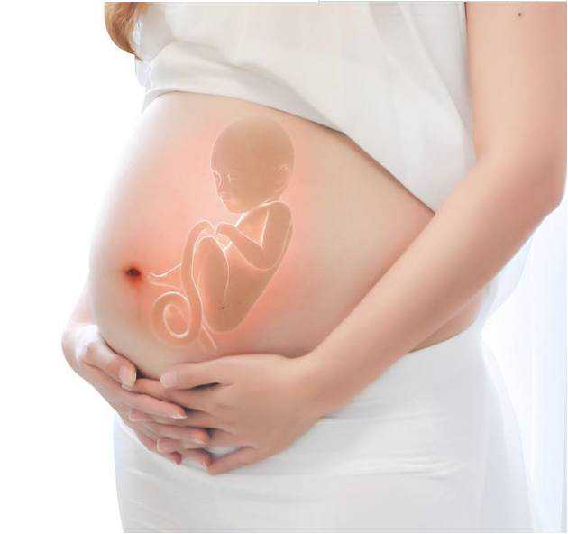 青岛供卵试管大约多少钱，青岛的供卵情况