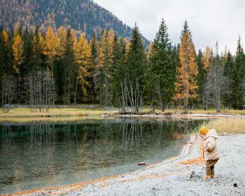 肚子特别大像怀孕了