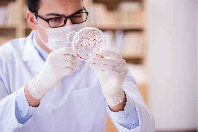 阴历五月怀孕几月生