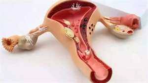 怀孕见红后多久生