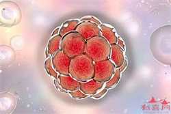 厦门靠谱的供卵试管中介,供卵怀孕会梦胎梦吗