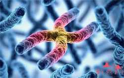 怀孕可以吃知了猴吗