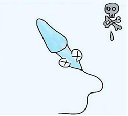 孕妇梦见龙入怀(孕妇梦见龙又梦见蛇)